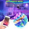 5M LED Strip Lights RGB Strips Tape Light 150 LEDs Waterproof Music Sync Color Changing Bluetooth 24Key Remote Control Decor for Home