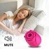 Accessoires de mode Rose Sucer Vibrateur pour Femmes Langue Lécher Chatte Jouet Clitoris Stimulateur Vaginal Sex Machine Adulte Masturb7737927