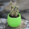 fatchan Jardinage Petite Pépinière Colorée Fleur Planteur Jardin Décor Plante Succulente Pots En Plastique Accueil Jardinières Fournisseur BH4430 TQQ