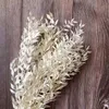 30g / 40-45cm、自然乾燥花ホワイトフグイの葉の枝、ディスプレイブーケde mariage結婚式の家の秋の装飾220311