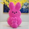 YENİ! 38 cm 15 cm Peeps Peluş Bunny Tavşan Peep Paskalya Oyuncaklar Simülasyon Dolması Hayvan Bebek Çocuklar Için Çocuk Yumuşak Yastık Hediyeler Kız Oyuncak 1.17