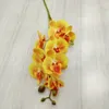 5 pièces fleurs d'orchidée papillon artificielles en latex 8 têtes 2 branches pièce orchidée Phalaenopsis Real Touch 27quot pour décoration florale9629190