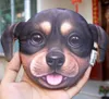 3D Kedi Köpek Yüz Peluş Sikke Çanta Kılıfı Sevimli Yavru Pug Başkanı Fermuar Kapatma Cüzdan Karikatür Hayvan Çanta Kolye Charm Moda Tasarım