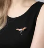 Simples diamante pérola incrustada dragonfly broches versátil suéter suéter cardigan noup pin roupas de moda leve