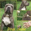 Chokers Pet Collar Ze Stali Nierdzewnej Dog Gold Curb Cuban Chain Training Naszyjnik do małych dużych psów1