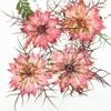 Bir sis çiçekler içinde aşk üreticileri promosyon mum / imi dekorasyon için kuru baskı çiçekler ücretsiz gönderi T200519
