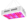 Hot selling 600W Dual Chips 380-730nm Full Light Spectrum LED Plant Growth Lamp White high quality Grow Lights
