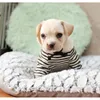 Benepaw 가을 겨울 따뜻한 개 침대 부드러운 편안한 두꺼운 봉제 antislip 강아지 PET 매트 쿠션 작은 중형 대형 개 고양이 201127