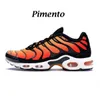 Air Max tn 2020 رجل tn بلس الاحذية الأخضر الثلاثي أسود أبيض rainbow فرط الأزرق سوبرنوفا فرشاة كامو الرجال المدربين 90 الرياضة أحذية رياضية