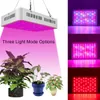 600 W Çift Cips 380-730nm Tam Işık Spektrum LED Bitki Büyüme Lambası Beyaz Premium Malzeme Yüksek Kalite Büyümek Işıklar Ücretsiz Teslimat
