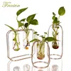 Nordic Glass Cuvette Flower Pot Guldpläterad Iron Vase Fashion Plant Pot Garden Planter Modern Flowerpot Plant Stand Dekoration Y200723