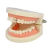 Or argent Hip Hop simple dent Grillz Cap haut bas Grill pour Halloween bijoux cadeaux Bling strass diamant Grillz