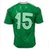 Maglie da calcio retrò Keane 88 90 92 94 96 97 98 1990 1992 1994 1996 1997 1998 Irish McGrath Shirt da calcio uniforme Vintage Maillot Jersey Ire1and Camiseta de Futebol