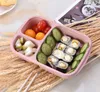 Lunchbox Outdoor Camping Picknick Fruit StoragetableWare Lunchbox 3 Grid Tarwe Straw Lunch Student Health Draagbare Voedsel