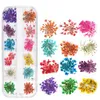 Nail Dried Flowers 3D Nail Art Sticker for Tips Manicure Decor Mixed Accessories Nail Flower Decorators for Salon
