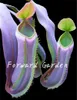 Multifarious Nepenths Harnivory Bonsai 100 шт. Семена ловца мухолов Dionaea Muscipula Giant Clip Venus Flytrap Завод для сада Натуральный рост Разнообразие цветов