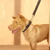 MUTTCO Targhetta per animali incisa che vende al dettaglio collare di alta qualità per collare per cuccioli personalizzato per cani THE BLACK SUIT collare per cani 5 taglie UDC007 201030