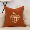Yüksek kaliteli yastık moda klasik yastık ev tekstil araba kanepe yastık kılıfı dekoratif lüksler marka yastıkları oturma odası yün yastıkları