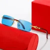 New Fashion women Luxury Sunglasses Small Toad Lens men Sunshade Orange Mirror Metal Temples Lacquer Craft Prescription Spectacle 3463
