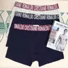 2020 Brand Popular Boxer Shorts Roupa Under