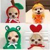 teacup chihuahua clothes