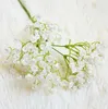 Single soft glue all over the sky star simulation flower wedding photography decoration blossom home decorations hand DIY Wreaths