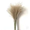 Erba Decor Real Natural Fiori secchi Piante Fiori nuziali Bouquet di fiori secchi Soffice adorabile per la decorazione della casa vacanza8211263