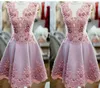 Romantic Blush Pink Sheer Neck Homecoming Prom Dress Short Cap Short sleeve Beaded Lace Applique Cheap Party Graduation Cocktail D196T