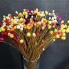 300 stks / ~ 0,3 cm hoofd, echt gedroogde natuurlijke mini happy flower tak, miniatuur droge bloemen boeket voor diy hars sieraden, home decor F1217