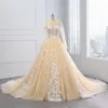 2021 Abiti da sposa principessa Champagne pizzo avorio fiori 3D applique floreale V aperto indietro poeta maniche lunghe abito da sposa donna taglie forti