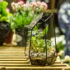 NCYP Pot de fleur en verre irrégulier moderne Grand Terrarium géométrique Fée Jardin Miniatures Vintage Verre Victorien Flowerpot Y200709