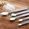 Set di cucchiai dosatori in acciaio inossidabile Mini cucchiai per condimento Portachiavi Forniture per la cottura portatili Utensili da cucina per uso domestico appendibili