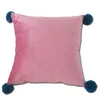Federa per cuscino Palla di lana Velluto Fodera per cuscino quadrato Fodera per cuscino lombare Federa decorativa per cuscino in vita Articoli per la casa ZYY51