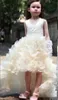 Low Layered Skirt Flower Girls Light Champagne Ivory V Neck Organza Girls Pageant Gowns Speical Occasion Dress