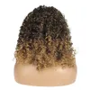 Woodfestival African American Hoofdband Pruik Synthetische Short Afro Kinky Krullend Pruiken voor Zwarte Vrouwen Medium Lengte Fiber Hair Head Band