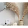 5pcsLot Pampas Grass Reed Dried Flower Wedding Raw Color Rice White Christmas Decoration Floral Arrangement Material 201203