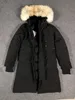 DH DH 02Winter Canada Donna Parka Spessa Pelliccia calda Piumino rimovibile con cappuccio Cappotto sottile da donna Doudoune di alta qualità