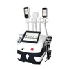 Nieuwe Design High Tech Draagbare 3 Handvat Cryolipolysis Machine Fat Bevriezing Afslank Machine Combineer Double Chin Cryo White Black