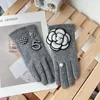 Mode Designer Winter Warm Gloves Kvinnor Klassisk Märke Designer Cashmere Glove Kvinna Tjocka Vitens Drving Gloves Guantes1