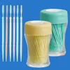 200PCS GUM INTERDENTAL FLOSSPLABLE Double-headed penselpinne tandpetare Tänder Oral Cleaner Vit 6.4cm Engångs tandpetare V4