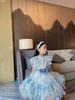 free shipping Kids Girls Dresses 2021 Summer Baby Girls Lace flowers dress Fashion sweet Dress with belt children clothes