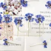 Decorative Flowers & Wreaths 120pcs/500pcs Cyanus Segetum Flower Pressed Resin Dried DIY Phone Cover Craft Art Jewelry Canlde Soap Scrapbook