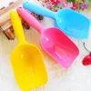 Cuillère de chien Cuillère de chiot Cat Cat Bird Ferret Ferret Food Fearer Scoop Shavel Spade Plats Outil LX4531