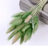 30pcs Gradient Lagurus Ovatus Natural Dried Flowers Bouquet Diy Wedding Home Christmas Decoration Rabbit Tail Grass Real