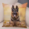 Deutsche Schäferhund -Hundekissen -Hülle Deckung Dekor Haustierkissenbedeckung für Sofa Haus Super weicher kurzes Plüschkissenbezug 4545cm3079321