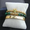 3 pièces ensemble couronne Bracelet Bracelet pour hommes vert CZ couronne tressage Bracelet mode acier inoxydable manchette bijoux 295t