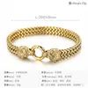 Bracciale con estremità gotica a doppio lupo in acciaio inossidabile con catena a maglie Figaro in oro da 8 mm e 8 pollici