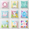 cartoon pillow cases