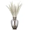15pcs Natural Small Pampos Grass Phragmites Plantas Artificiais Bunco de Flores de Casamento para Decoração de Casa FALSO FLO LB5306995