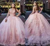 Magnifique Rose Robes De Bal Quinceanera Princesse Femmes Détachable Somptueux Manches Longues Floral Dentelle Applique Cristal Doux 16 Robe Plus La Taille